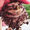 aBO4opQ.gif