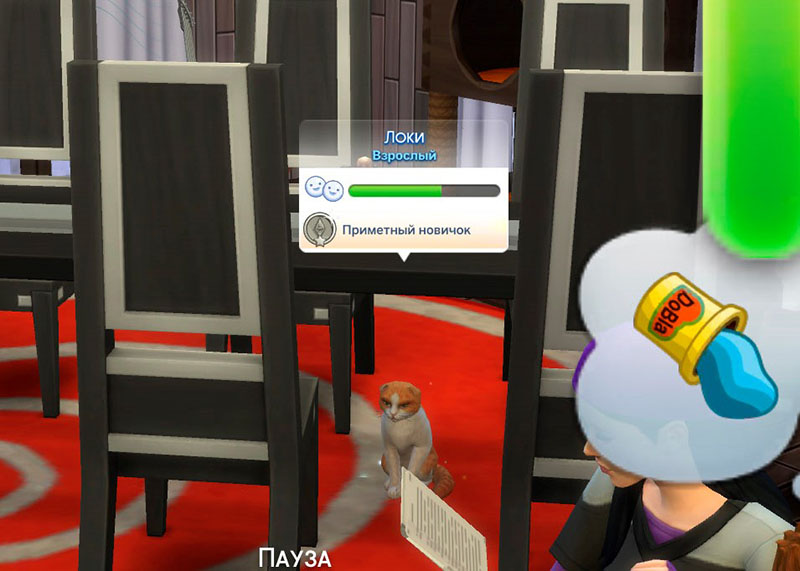 zLWjmCJ.jpg