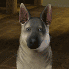 L3PQhVz.gif