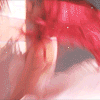 GCN6AsD.gif
