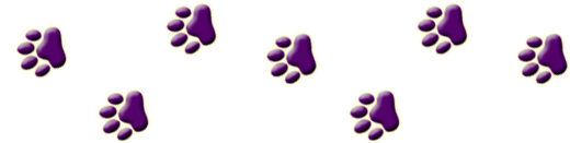 0_1544e2_69fe11ee_XL.png