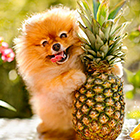0_19eb66_a11d5bcc_orig.png
