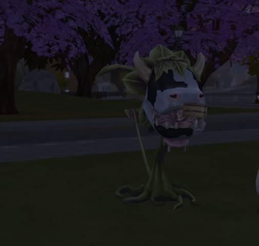 28664497_m.jpg