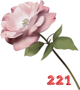 0_fb44b_45109f39_M.png