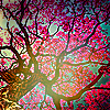 f4aee6ee4c3af6483c7700c22b01d8ef.png
