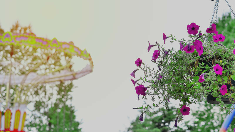 0_166227_29f13dcb_XL.jpg