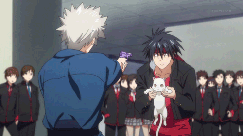 tumblr_mbhh1xw8ll1qcw656o1_500.gif