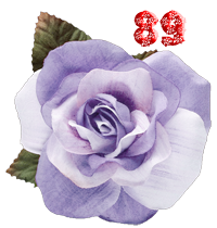 0_fb3c7_157dd349_M.png
