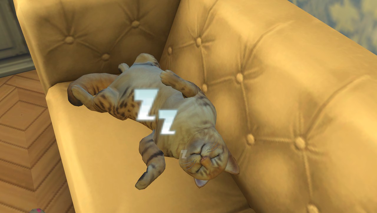 z3VXq7-wa4Q.jpg