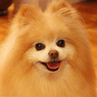 f9dd54bb785baba976e5e4ab235d0205.gif