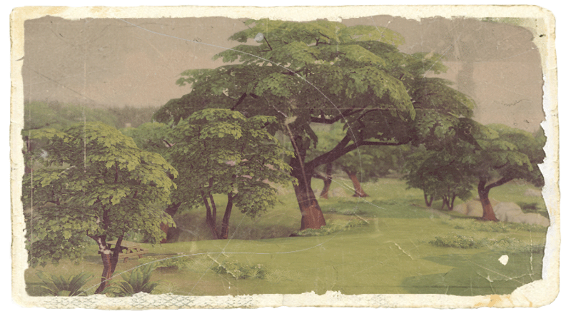 36146211d300b25acdfabb5158e512a1.png