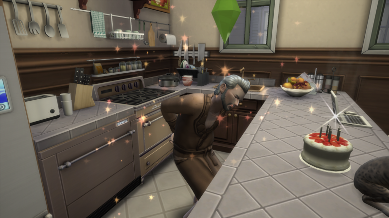 TS4-x64-2019-07-27-18-26-43.png