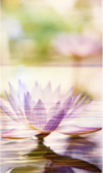 090837e6d2aff4aaf9657caa6eb02b27.png
