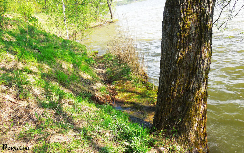 0_1323df_5e0c4c84_XL.jpg
