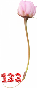 0_fb3f3_ce07f670_M.png