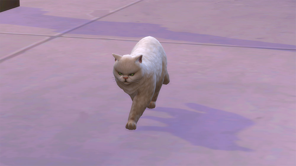 LJemNQl.jpg