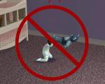 MTS2_thumb_MogHughson_1067541_ToddlerSlamTeddy.jpg