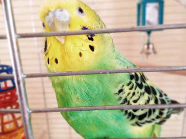 c01d77c5ab83d66edd11c7ed19a9c18d.jpg