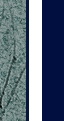 iAQN4Dx86Kg.jpg