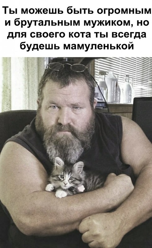 rTcJNye.jpg