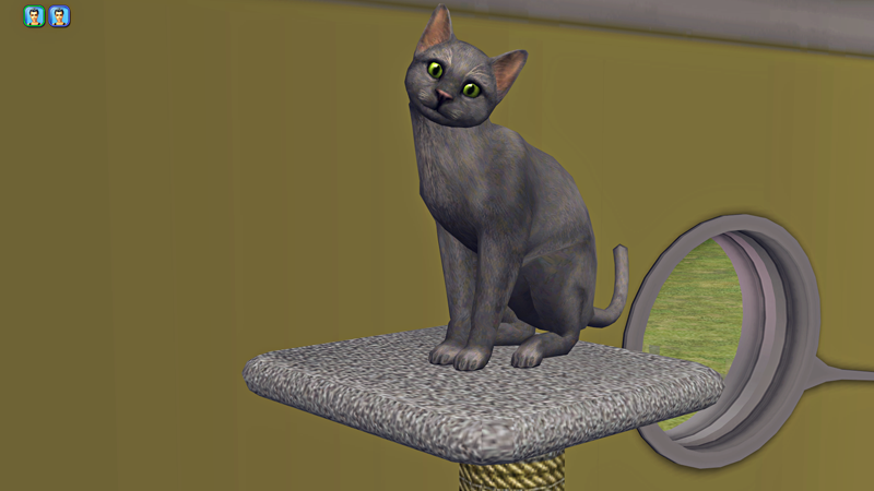 I89UZ3G.png