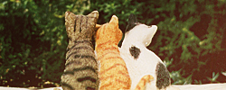 d4ff26c7003e3728793d08b20504f7da.png