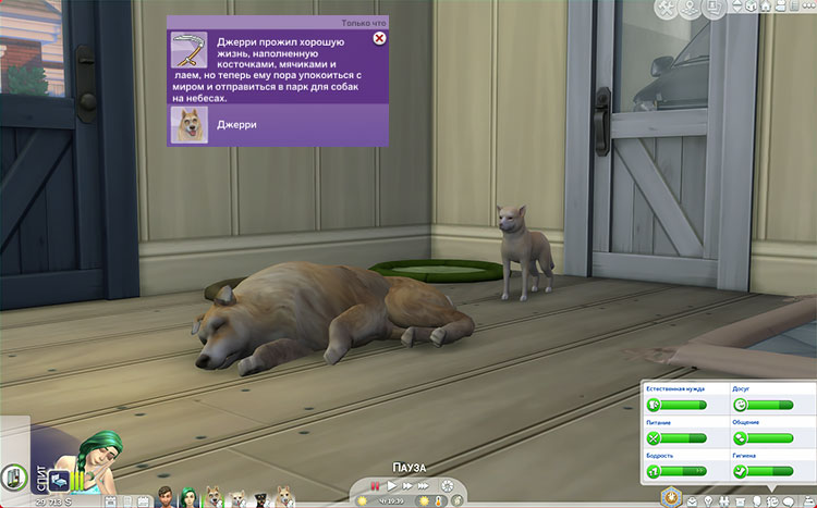 TS4-x64-2022-01-03-19-13-50-73.jpg