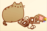 olYh0.gif
