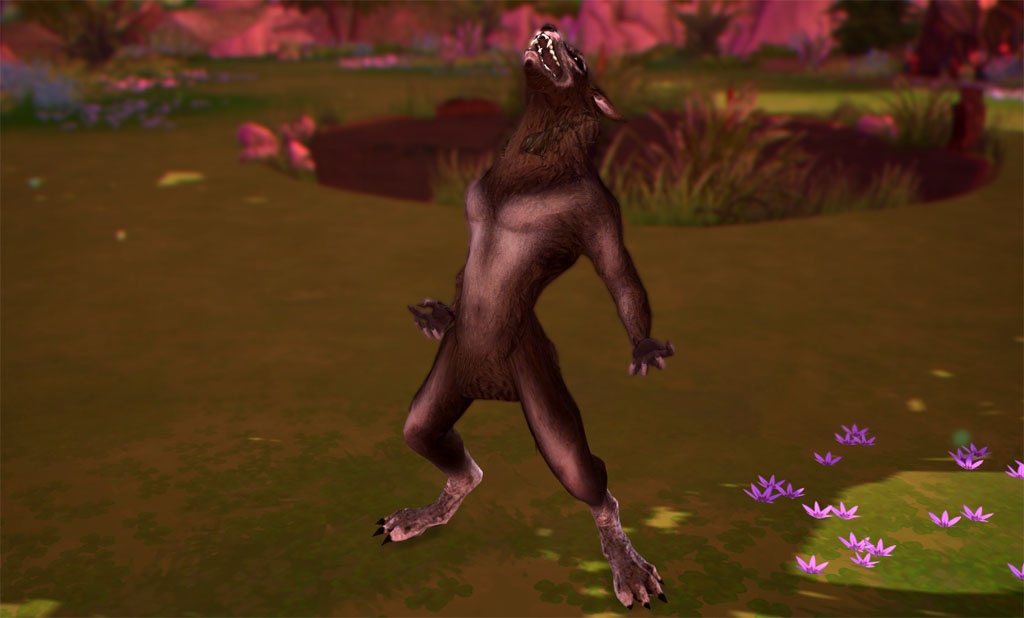 zzvKd0z.jpg
