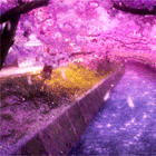 4.gif