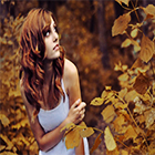 0_e1762_e6ff6a85_orig.jpg