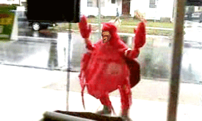 tumblr_m6yrntUmaE1qfde6ho1_400.gif