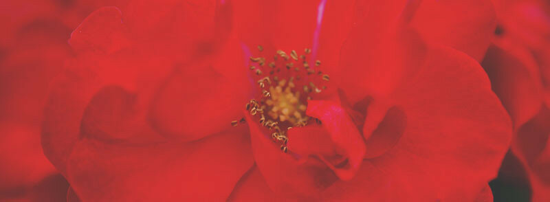 0_166255_9356e77c_XL.jpg