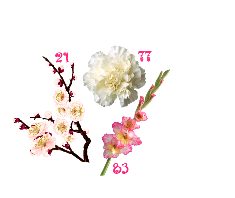 5f889ad853fd7716eb3b10a688c1e544.png