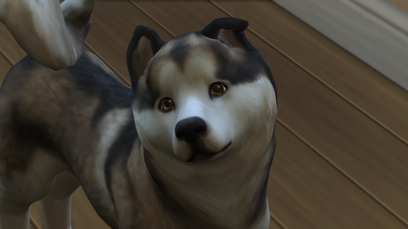 3cnf3AZ.png