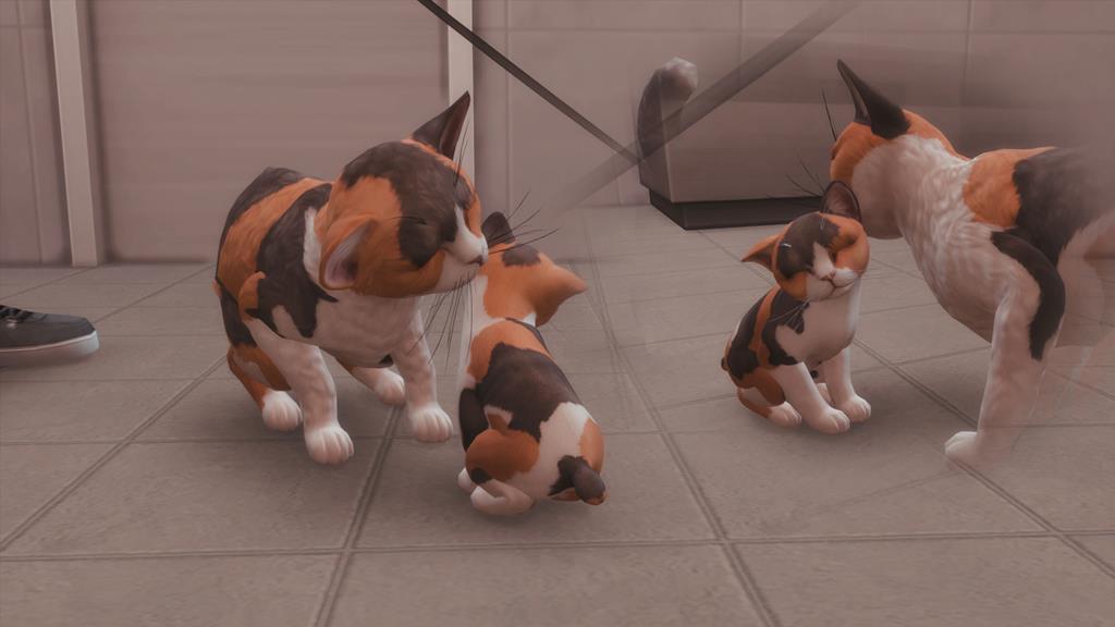 4RvrTji.jpg