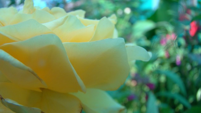 b7fa12ff63bfed7468183436a2be2b7b.jpg