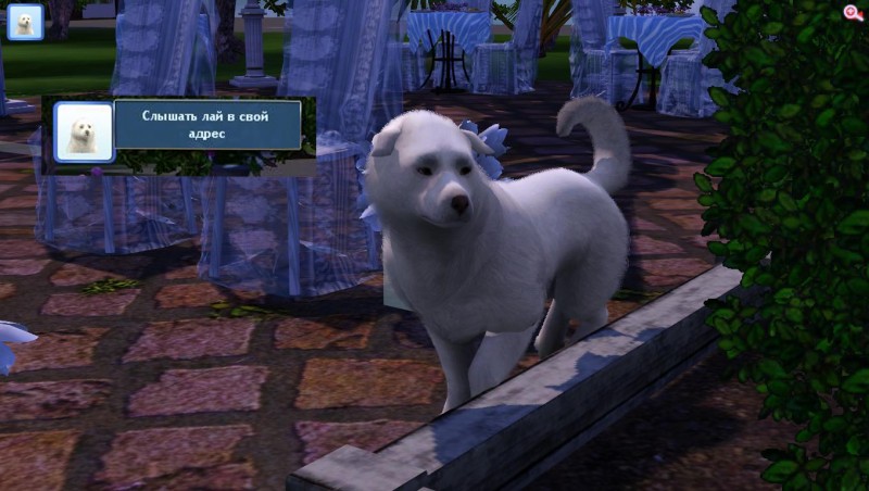 TS3_W_2018_04_30_09_59_06_53.jpg