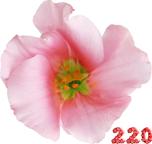 0_fb44a_b8521559_M.png