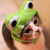 aefb8932d384ea46f084a59ddbd9798c.gif