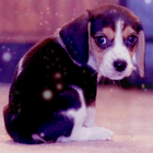 8b299baf5077e3c5523e902cf8c7a1ae.png