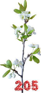 0_fb43b_77168586_M.png