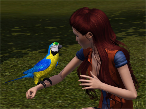 5fc548045825d29e5c19ad1b7bb69592.png