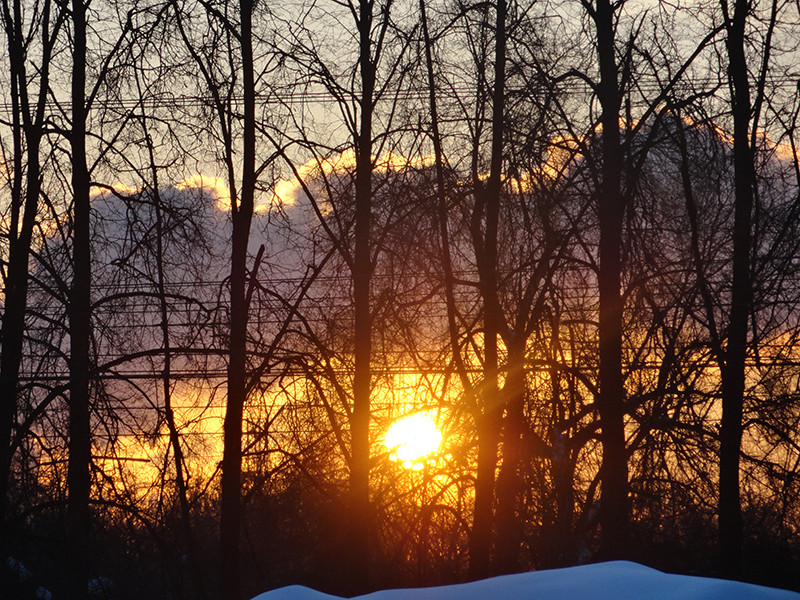 8e2bc64309999ab689e357f3a9640ba8.png