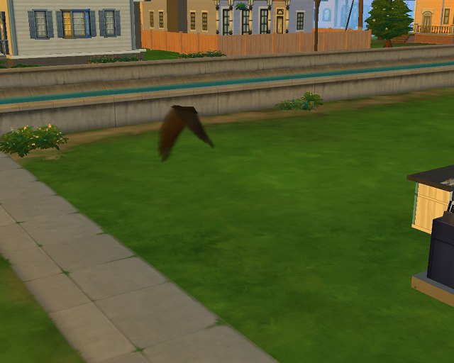 KdGYeAznpwk.jpg