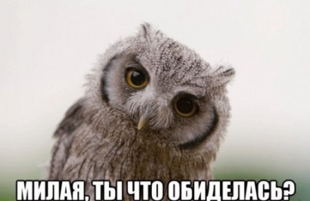 82d8a6e73411c842dfcfff98b257bce2.jpg