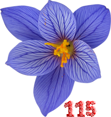 0_fb3e1_2eb46ab9_M.png