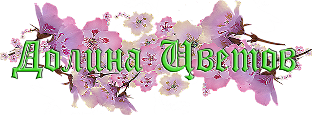 0_157c89_3c60507_XL.png