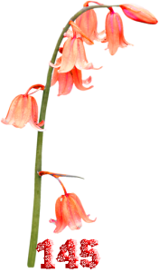 0_fb3ff_4e3fb959_M.png