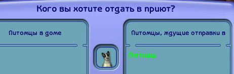 gw0eQ7AMtfw.jpg